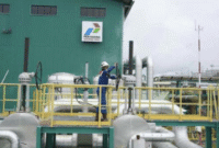 Dukung Pemanfaatan Energi Hijau, Pertamina Geothermal (PGEO) Siapkan 3 Proyek Kunci. Foto: PT Pertamina Geothermal Energy Tbk