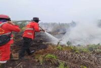 Petugas Manggala Agni berjibaku memadamkan titik api karhutla.( Foto: Dok. Manggala Agni Siak)

