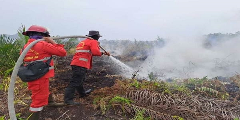 Petugas Manggala Agni berjibaku memadamkan titik api karhutla.( Foto: Dok. Manggala Agni Siak)