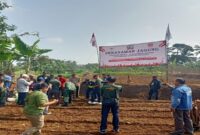  Suasana penanaman perdana jagung hibrida yang didukung oleh HMTN-MP di desa Cisande kecamatan Cicantayan kabupaten Sukabumi, Jawa Barat, Ahad (24/05/2025).