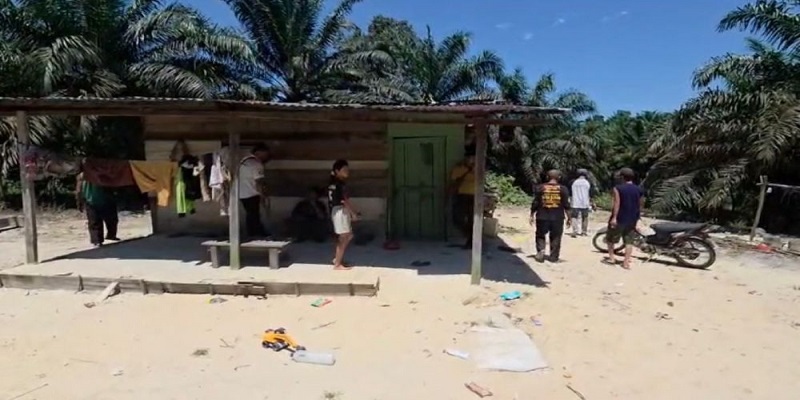 Seekor gajah liar menerobos permukiman warga dan menyerang rumah milik Sardo Purba, Kamis (30/10/2025) dini hari.