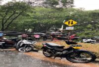 Hujan deras disertai angin kencang melanda wilayah Jakarta Selatan, Kamis (30/10) sore, menyebabkan sebuah pohon tumbang di Jalan Dharmawangsa Raya, Kelurahan Pulo, Kecamatan Kebayoran Baru. (Ft : Tangkapan layar FB Peter F Gontha)