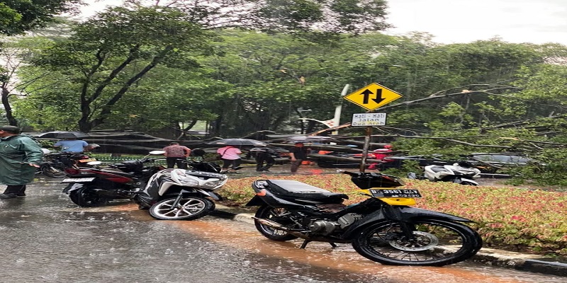 Hujan deras disertai angin kencang melanda wilayah Jakarta Selatan, Kamis (30/10) sore, menyebabkan sebuah pohon tumbang di Jalan Dharmawangsa Raya, Kelurahan Pulo, Kecamatan Kebayoran Baru. (Ft : Tangkapan layar FB Peter F Gontha)