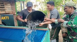 Satuan Tugas (Satgas) TMMD ke-129 Kodim 0102/Pidie menebar bibit ikan lele dan mengisi kandang ayam petelur yang telah selesai dibangun di lima lokasi rumah tidak layak huni (RTLH) yang telah rampung direhabilitasi, di Desa Lhok Panah, Kecamatan Sakti, Kabupaten Pidie, Rabu (12/8/2026).