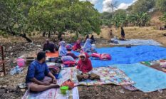 Video Viral, Camat Lamba Leda Utara Protes Bantuan Gempa NTT