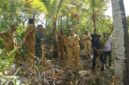 Wakil Bupati Banggai Kepulauan, Serfi Kambey, meninjau lokasi rencana pembangunan Kampung Nelayan di Desa Bajo, Kecamatan Liang, Senin (31 Agustus 2026).