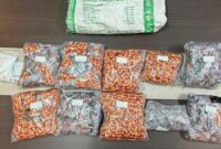 Bareskrim Polri menangkap tiga orang pelaku peredaran vape berisi narkoba jenis etomidate di wilayah Rupat, Bengkalis, Riau.(Cnn Indonesia)
