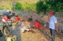 Kebakaran hutan dan lahan di Desa Betaua Touna capai 10 hektare, medan terjal dan berbatu menghambat pemadaman petugas gabungan. (ft : ist)