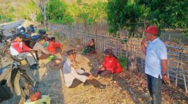 Kebakaran hutan dan lahan di Desa Betaua Touna capai 10 hektare, medan terjal dan berbatu menghambat pemadaman petugas gabungan. (ft : ist)