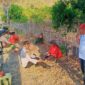 Kebakaran hutan dan lahan di Desa Betaua Touna capai 10 hektare, medan terjal dan berbatu menghambat pemadaman petugas gabungan. (ft : ist)
