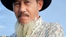 Budi Dako (ist)