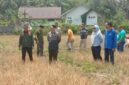 Bupati Bangkep Rusli Moidady meninjau lokasi persawahan yang melanda Tinangkung Selatan akibat kemarau panjang serta menginstruksikan pembuatan sumur bor. (Ft: ist)