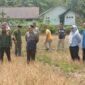 Bupati Bangkep Rusli Moidady meninjau lokasi persawahan yang melanda Tinangkung Selatan akibat kemarau panjang serta menginstruksikan pembuatan sumur bor. (Ft: ist)