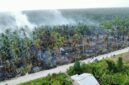 Kebakaran areal perkebunan kelapa di Desa Sungai Luar, Kecamatan Batang Tuaka, Kabupaten Indragiri Hilir pada Minggu (13/9/2026). (Mcr)