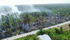 Kebakaran areal perkebunan kelapa di Desa Sungai Luar, Kecamatan Batang Tuaka, Kabupaten Indragiri Hilir pada Minggu (13/9/2026). (Mcr)