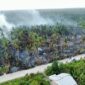 Kebakaran areal perkebunan kelapa di Desa Sungai Luar, Kecamatan Batang Tuaka, Kabupaten Indragiri Hilir pada Minggu (13/9/2026). (Mcr)