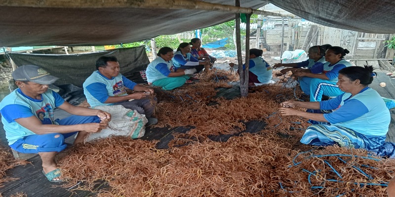 Anggota DPR RI Elen Pelealu fasilitasi bantuan rumput laut. (ist)