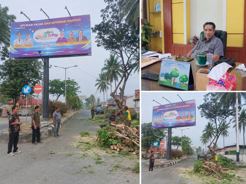 DLH Perkimtan Kabupaten Tojo Una-Una melakukan pemangkasan pohon di sejumlah ruas jalan prorokol untuk mengantisipasi pohon tumbang dan ranting patah yang berpotensi membahayakan pengguna jalan. (Foto: Budi Dako)