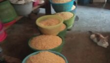 Pengrajin tempe di Kelurahan Kapas Nganjuk mengeluhkan kenaikan harga kedelai impor dan ketiadaan bantuan mesin dari Pemkab selama 30 tahun. (Ft: Bedainnews/Suwarno)