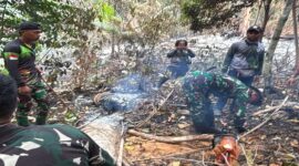 Personel TNI gabungan bersama warga memadamkan karhutla seluas 25 hektare di Cagar Alam Tanjung Api, Kabupaten Tojo Una-Una.