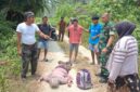 Polsek Kintom tindak lanjuti warga Meninggal di kebun (ist)